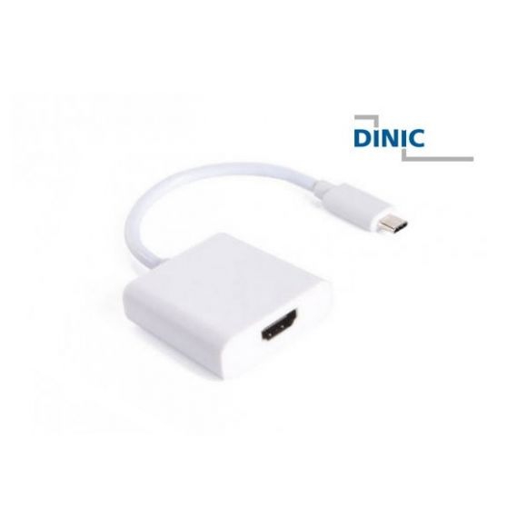 Adapter USB 3.1 C Stecker auf DisplayPort Buchse Adapter USB 3.1 C Stecker auf DisplayPort Buchse